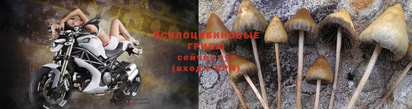 круглые Осташков