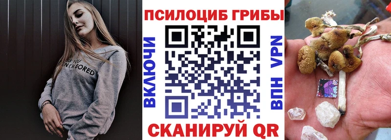 Псилоцибиновые грибы Psilocybe  купить наркотики сайты  Сольцы 